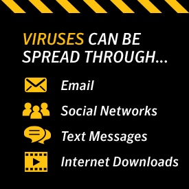 Viruses can be spread through.